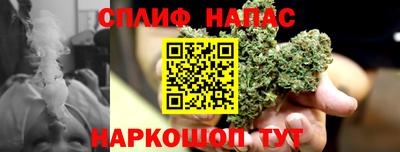 spice Кунгур
