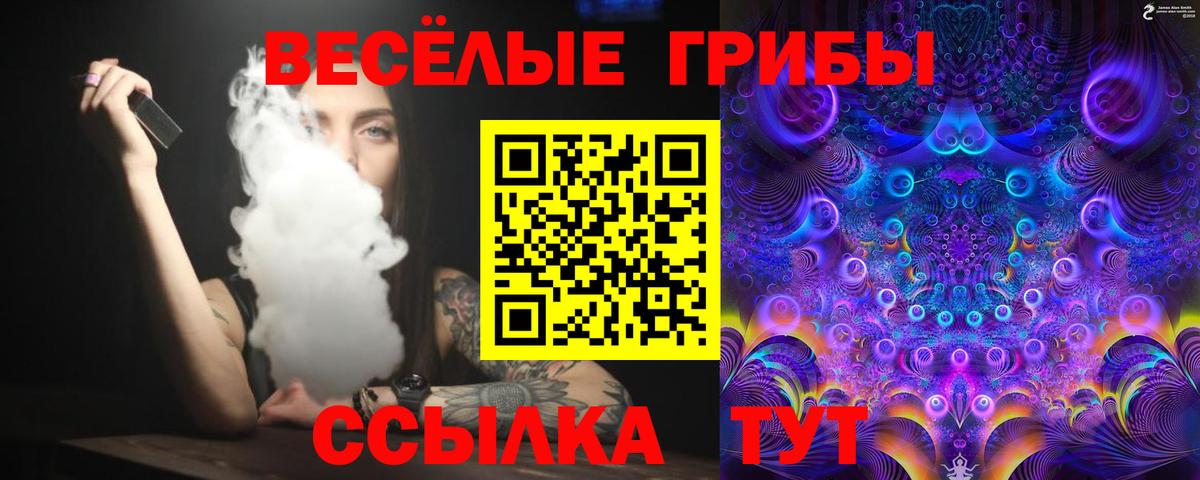 Псилоцибиновые грибы мухоморы  где найти   Гуково  Вход с VPN 