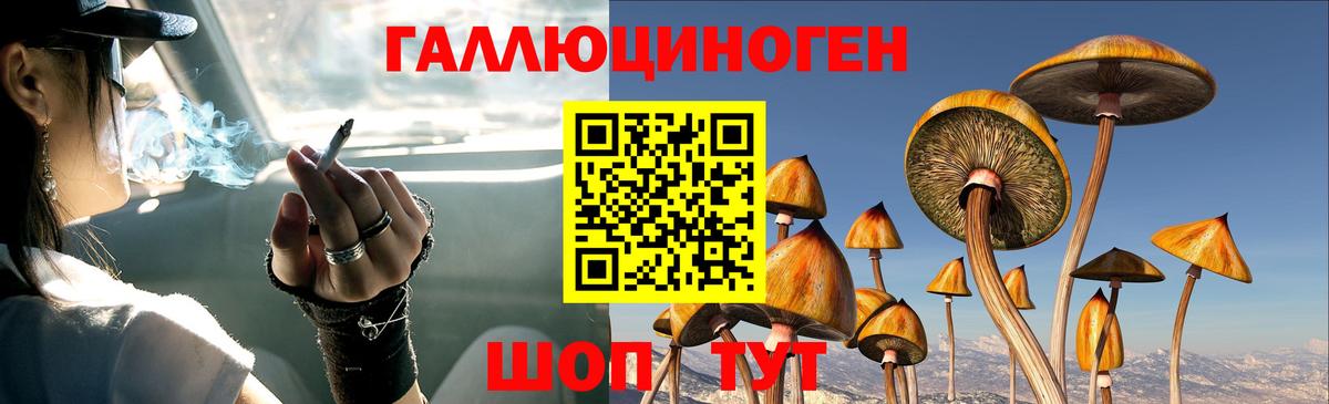 Псилоцибиновые грибы GOLDEN TEACHER Гуково